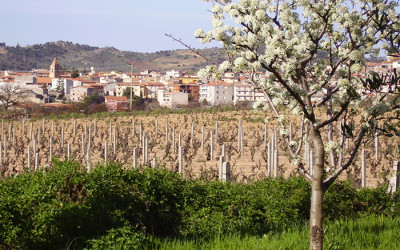 Viseras, pasquetta tra enogastronomia e cultura