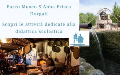 Parco Museo S’Abba Frisca: l’offerta didattica per gruppi e scolaresche