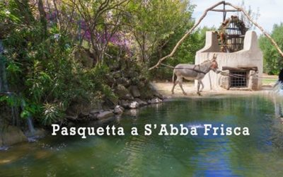 Pasqua e pasquetta a S’Abba Frisca