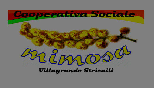 Servizi Sociali Mimosa